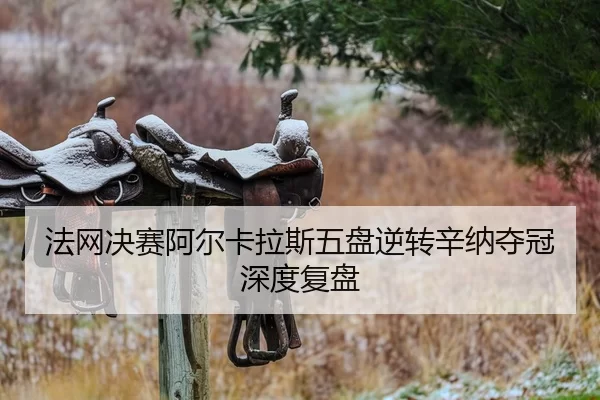 fa-wang-jue-sai-a-er-ka-la-si-wu-pan-ni-zhuan-xin-na-duo-guan-shen-du-fu-pan-2-896.jpg