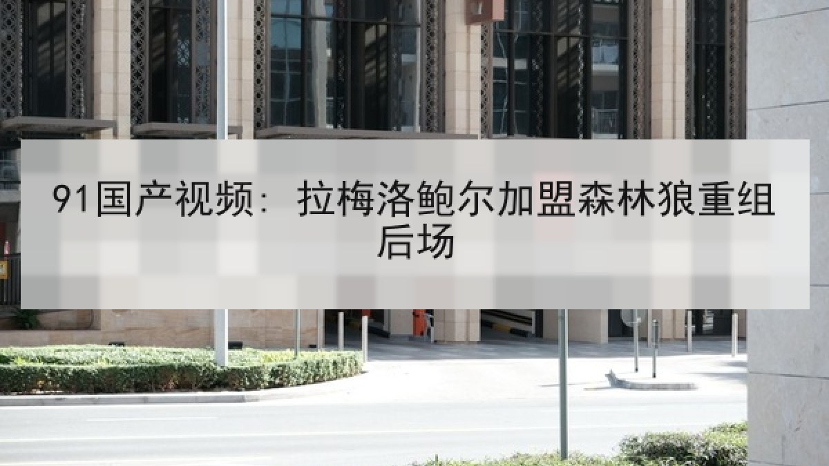 91国产视频: 拉梅洛鲍尔加盟森林狼重组后场