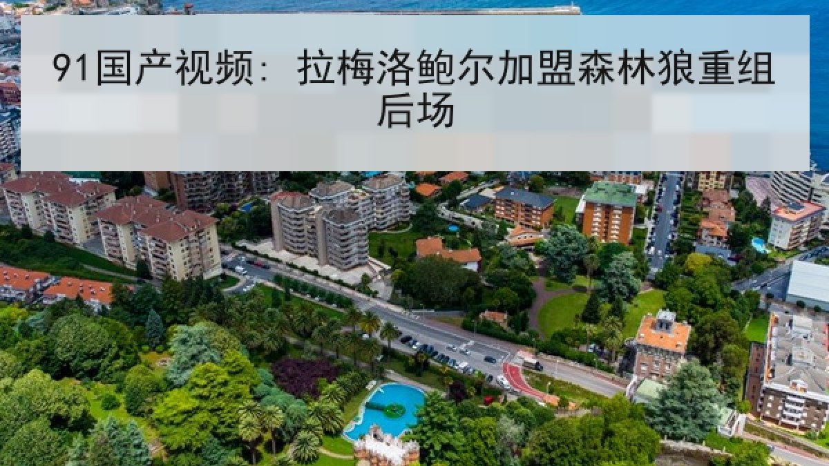 91国产视频: 拉梅洛鲍尔加盟森林狼重组后场