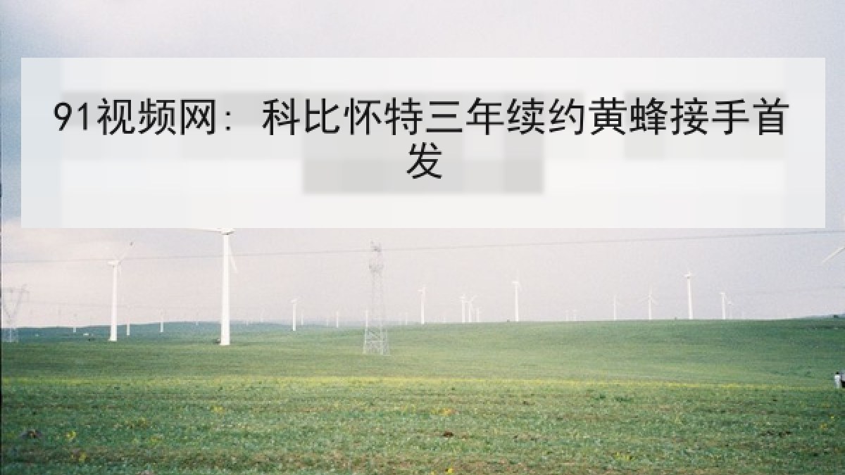 91视频网: 科比怀特三年续约黄蜂接手首发