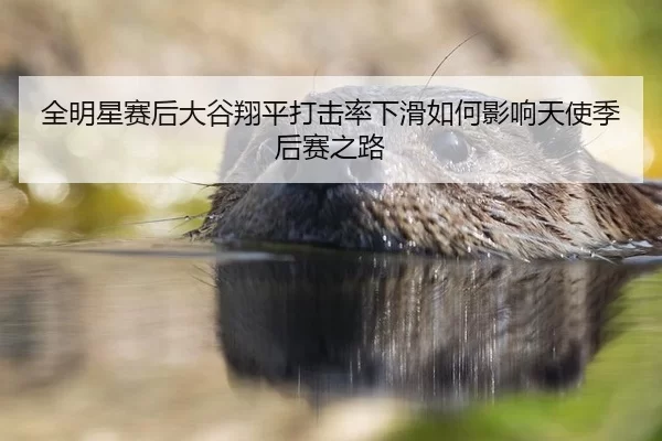 quan-ming-xing-sai-hou-da-gu-xiang-ping-da-ji-lv-xia-hua-ru-he-ying-xiang-tian-shi-ji-hou-sai-zhi-lu-2-498.jpg