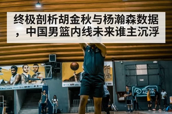 终极剖析胡金秋与杨瀚森数据，中国男篮内线未来谁主沉浮