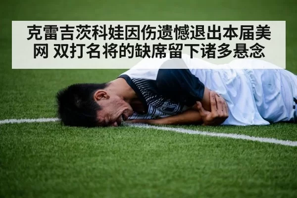 克雷吉茨科娃因伤遗憾退出本届美网 双打名将的缺席留下诸多悬念